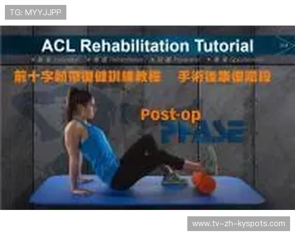 NBA球队球员康复体系建设与案例分享