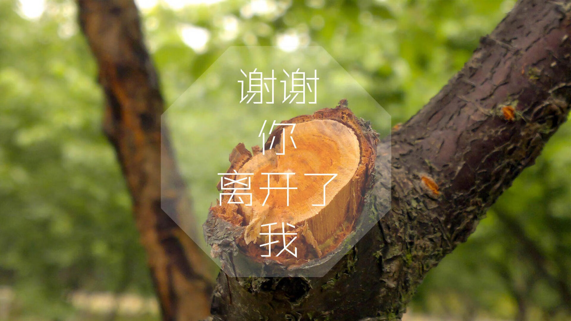 开云体育登录-“生死搏杀，四川省体育馆自由搏击赛火爆登场”