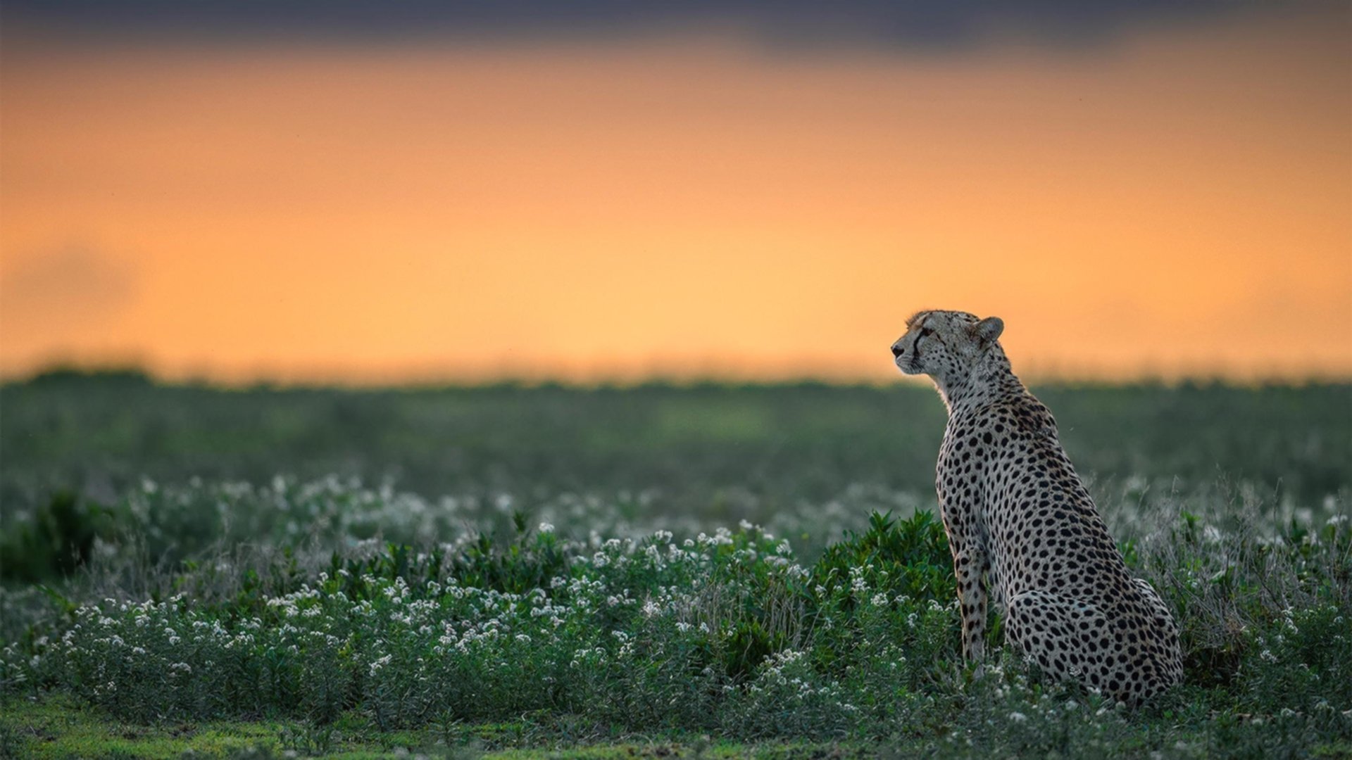 开云体育官网-体育新闻中心支持基层体育数字媒体能力提升，体育新媒体有哪些