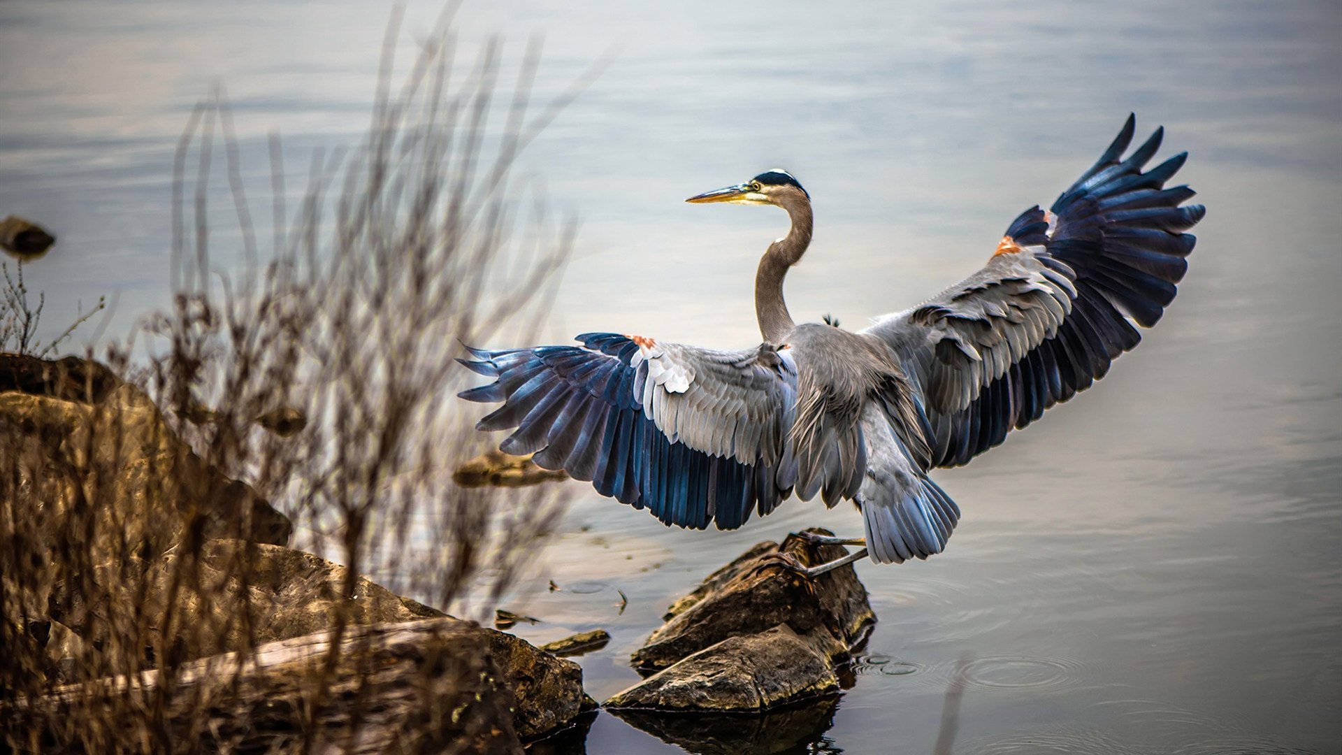 开云体育官网在线-世界杯逆转传奇：英雄书写奇迹！，世界杯首场逆转  第3张