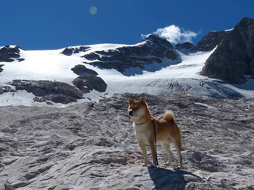 开云体育-恩比德内线强打命中率居联盟首位，恩比德在哪几个队伍打过
