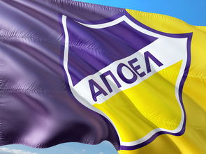 开云体育官网-斯洛伐克女篮在欧洲预赛中表现出色，期待奥运资格的到来，斯洛伐克女子篮球锦标赛