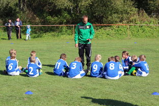 开云体育在线入口-欧洲杯冠军悬念：战术配合与个人能力巅峰对决，欧洲杯冠军大热门