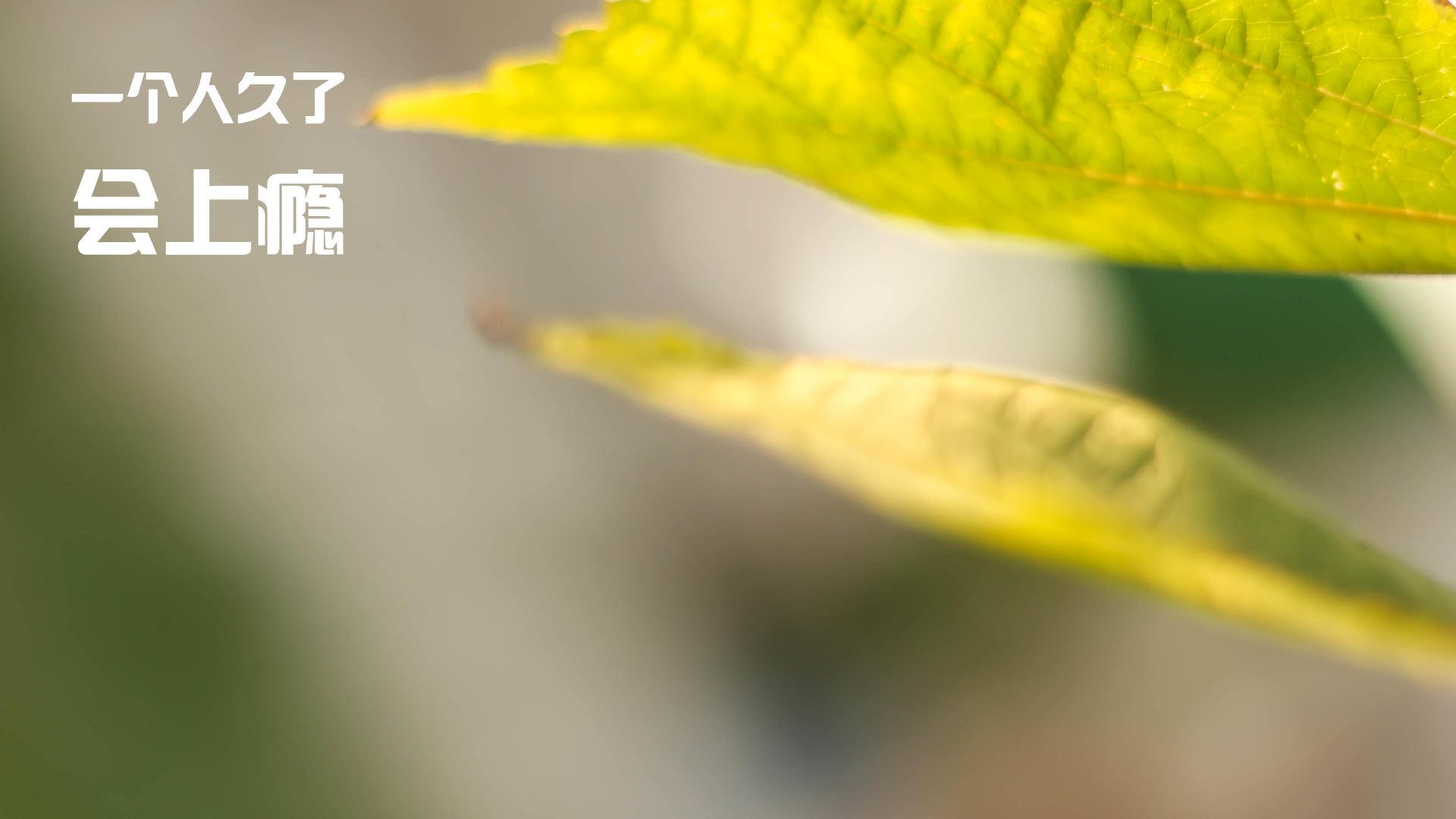 开云体育足球-水球比赛韩国战术灵活多变，水球比赛韩国战术灵活多变视频